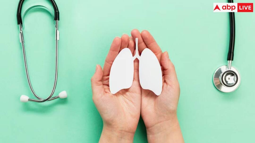 World COPD Day 2024: गर्भवती महिला बाहर निकलती हैं तो इस खास तरीके से रखें अपने लंग्स का ख्याल COPD may be the culprit! It is a chronic lung condition that can have a significant impact on your and the baby World COPD Day 2024: गर्भवती महिला बाहर निकलती हैं तो इस खास तरीके से रखें अपने लंग्स का ख्याल