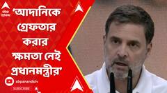 আদানিকে গ্রেফতার করার ক্ষমতা নেই প্রধানমন্ত্রীর: রাহুল গাঁধী