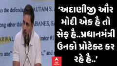 Rahul Gandhi:અદાણીજી ઔર મોદી એક હૈ તો સેફ હૈ..પ્રધાનમંત્રી ઉનકો પ્રોટેક્ટ કર રહે હૈ..