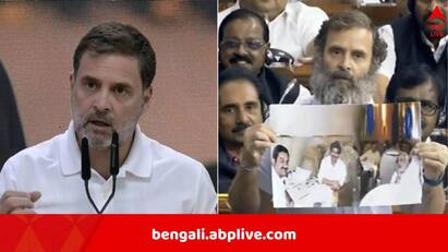 Rahul Gandhi speaks on adani us bribery charges says he should be arrested inspection on sebi head must be conducted Rahul Gandhi on Adani: আদানিকে গ্রেফতার করতে পারবেন না মোদি, তাতে নিজের নামও বেরিয়ে আসবে, ফের সুর চড়ালেন রাহুল