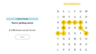 NYT Strands Answers For November 21: Having Trouble Finding 