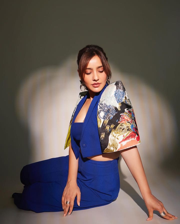 After his debut, he was seen in movies like Kya Kool Hain Hum (2012), Teri Meri Kahani (2012), Youngistaan (2014). Neha Sharma gained a lot of popularity from these movies.