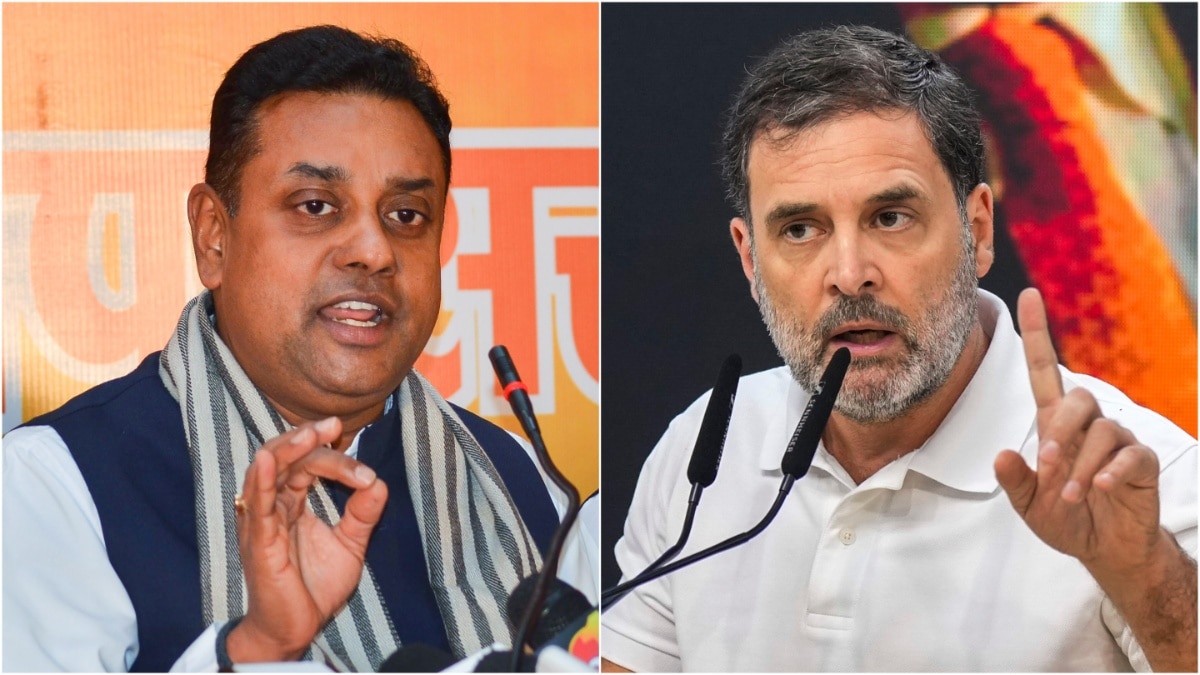 'Oppn-Ruled States Named In Adani Bribery Charge': BJP Slams Rahul Gandhi, Says 'Cong Trying To Tarnish PM's Image'