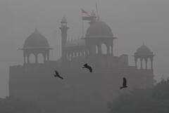 હજુ ઠંડીના ઠેકાણા નથી ત્યાં તો 11 રાજ્યોમાં ભારે વરસાદની હવામાન વિભાગે આગાહી કરી