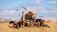 दस या बाहर महीने नहीं बल्कि सालों तक प्रेग्नेंट रहते हैं ये जानवर, जानकर नहीं होगा यकीन