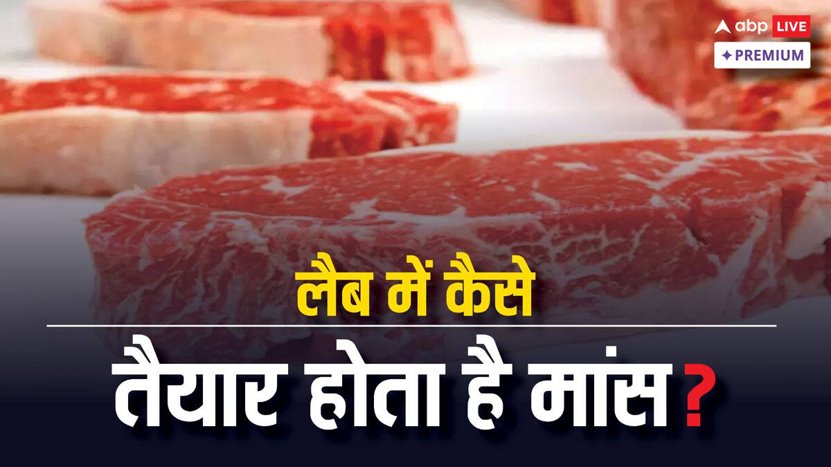 प्रयोगशाला में कैसे बनता है मांस, भारत में इसे लेकर सरकार की क्या नीति है?