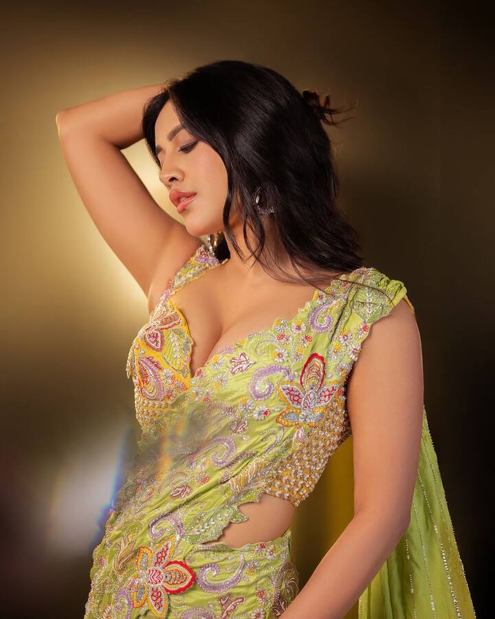 ఈ లుక్లో ఆమె బ్లౌజ్ డిజైన్ బాగా అట్రాక్షన్గా నిలిచింది. ఈ ఫోటోలను ఇన్స్టాలో షేర్ చేసి 🦚 గ్రీన్ పీకాక్ సింబల్ని జోడించింది. (Images Source : Instagram/Nabha Natesh)