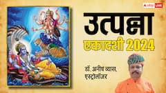 पहली बार कर रहे हैं एकादशी व्रत, तो जान लें सही नियम, विधि