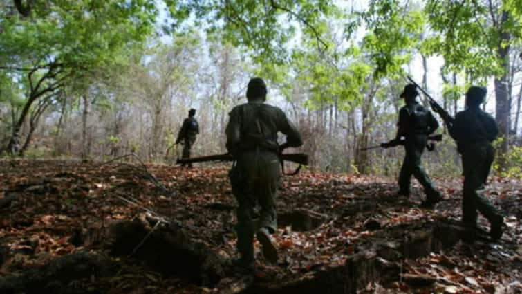 Two Naxals Surrender In Maharashtra's Gadchiroli