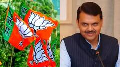 अपक्ष, बंडखोरांना जाळ्यात ओढण्यासाठी भाजपकडून ६ नेत्यांवर साखरपेरणीची जबाबदारी