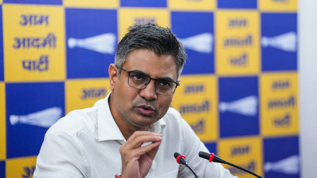 Delhi Election 2025: संदीप पाठक का बोले- 'AAP हमेशा उन पर दांव खेलती है जो...' Delhi Election 2025 Sandeep Pathak said AAP always ann Delhi Election 2025: संदीप पाठक का बोले- 'AAP हमेशा उन पर दांव खेलती है जो...'