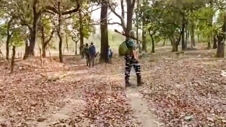 Chhattisgarh: 10 Naxals Killed In Encounter With Security Forces In Sukma