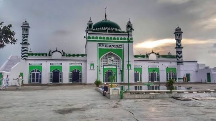 Sambhal masjid survey report shocking claim to found lotus flower Kalash hindu symbol दीवारों पर कमल के फूल, गुंबद पर कलश की आकृति? संभल मस्जिद की सर्वे रिपोर्ट में चौंकाने वाला दावा!