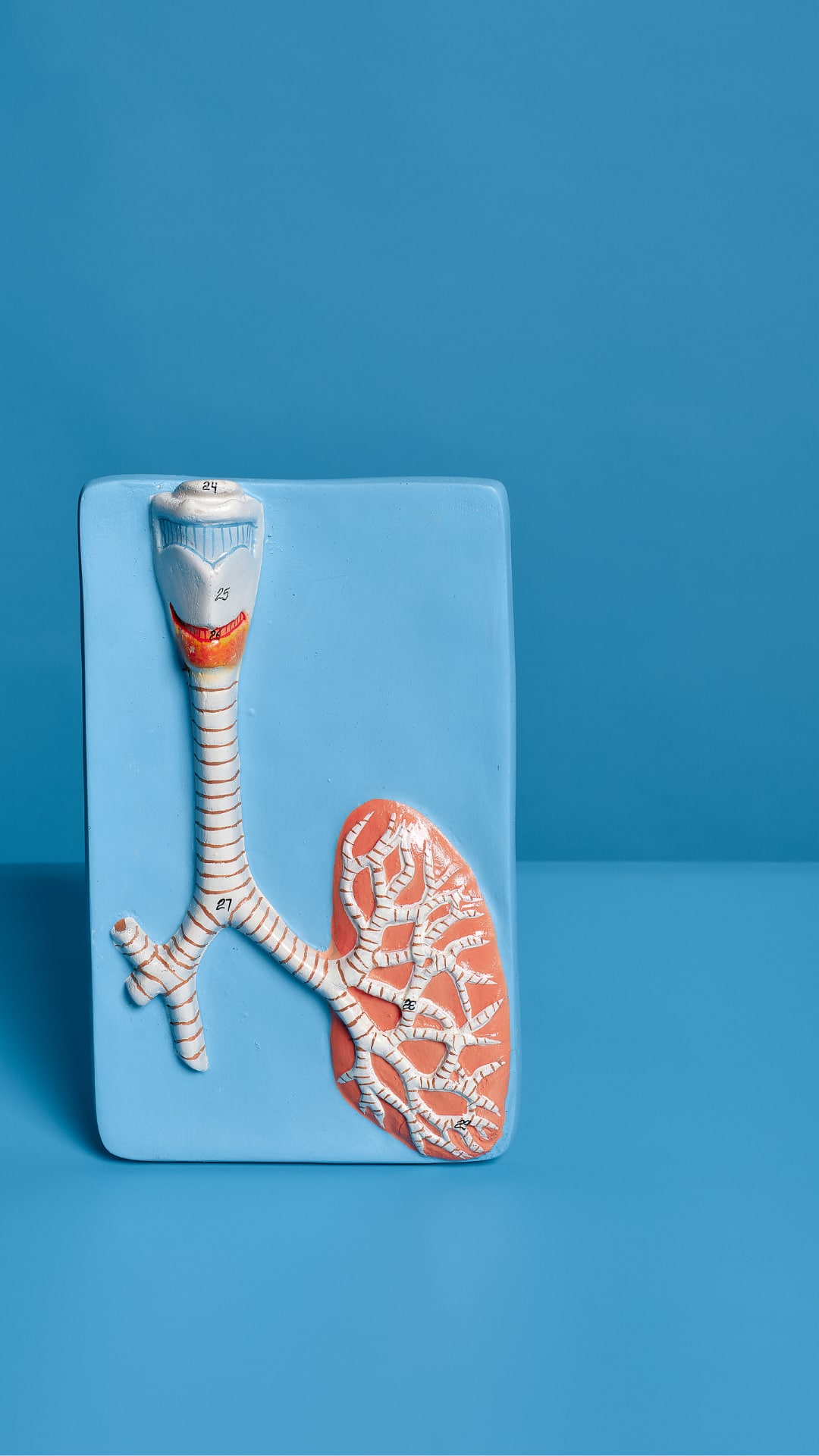 Rising Lung Infections Among Children: