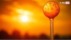 સૂર્યના UVB કિરણોમાંથી વિટામિન ડી કયા સમયે સૌથી વધુ ઉત્પન્ન થાય છે? જાણો જવાબ