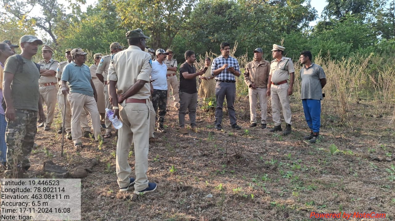 Adilabad Tiger News: ఆదిలాబాద్ జిల్లాలో పులుల సంచారంతో ఉపాధి కోల్పోతున్న రైతులు