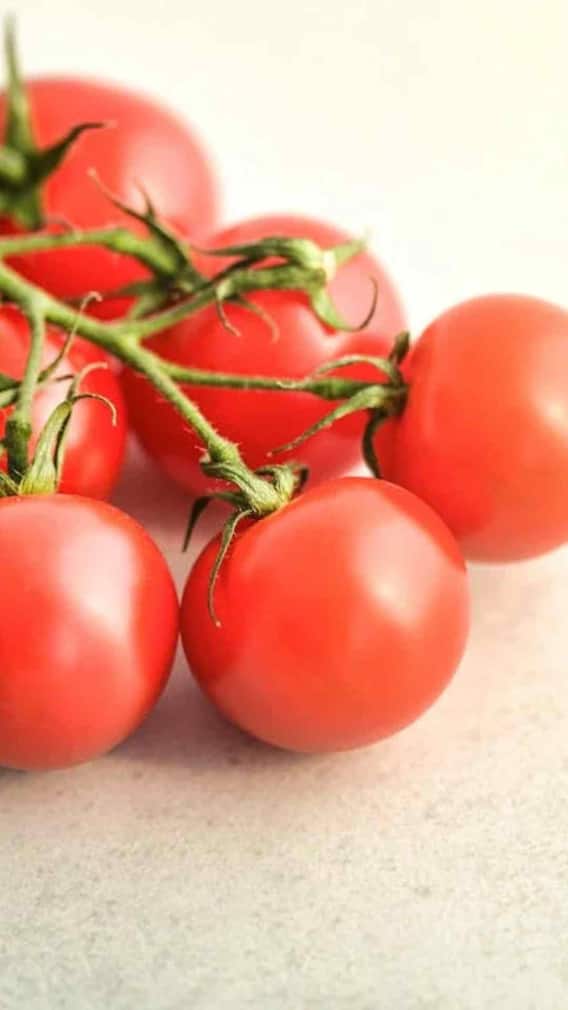 ਪਲਾਸਟਿਕ ਦੀ ਬੋਤਲ 'ਚ ਕਿਵੇਂ ਉਗਾ ਸਕਦੇ ਟਮਾਟਰ?