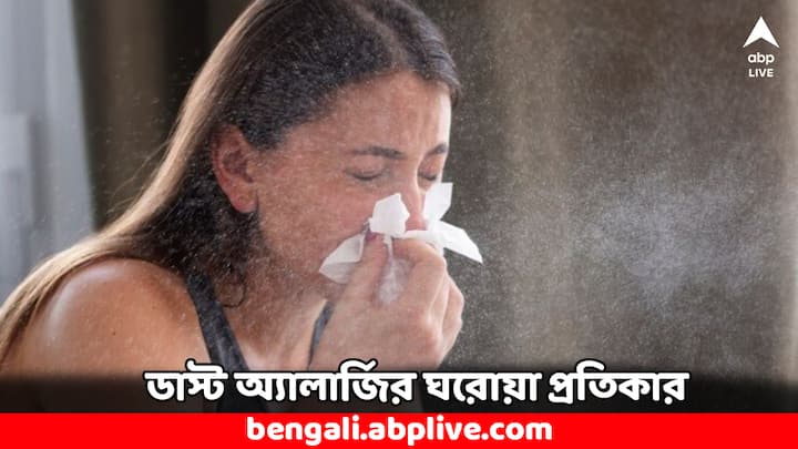 Dust Allergy Home Remedy: অনেকের ধুলোবালি, ময়লা ইত্যাদি ঘাঁটাঘাঁটি করলেই অ্যালার্জির উপসর্গ দেখা দেয়। কিছু ঘরোয়া উপায় মেনে চললেই এই সমস্যা থেকে রেহাই মিলবে।