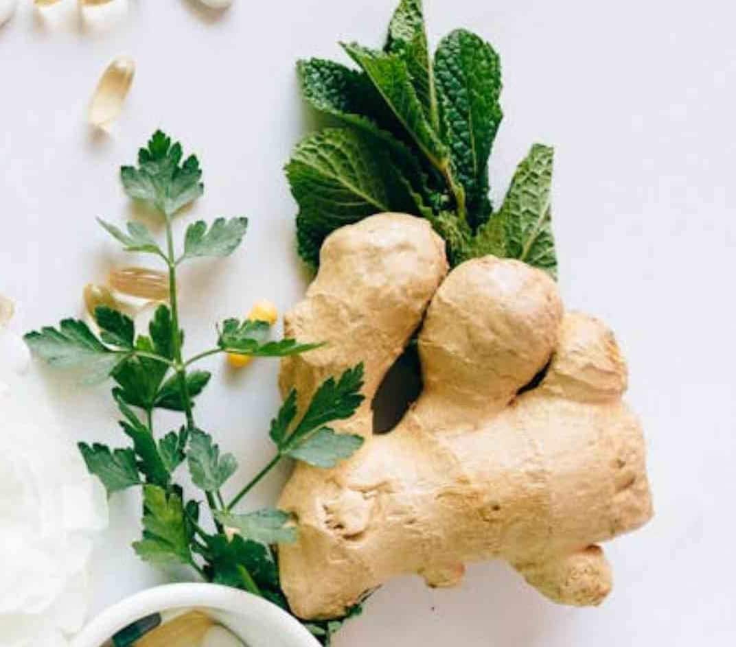 કોલેસ્ટ્રોલ કંન્ટ્રોલમાં રાખવું હોય તો ખાલી પેટે પીવો આદુનો જ્યૂસ, જાણો કેટલો પીવો જોઇએ? If you want to keep your cholesterol under control drink ginger juice on an empty stomach કોલેસ્ટ્રોલ કંન્ટ્રોલમાં રાખવું હોય તો ખાલી પેટે પીવો આદુનો જ્યૂસ, જાણો કેટલો પીવો જોઇએ?