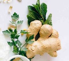 કોલેસ્ટ્રોલ કંન્ટ્રોલમાં રાખવું હોય તો ખાલી પેટે પીવો આદુનો જ્યૂસ, જાણો કેટલો પીવો જોઇએ?