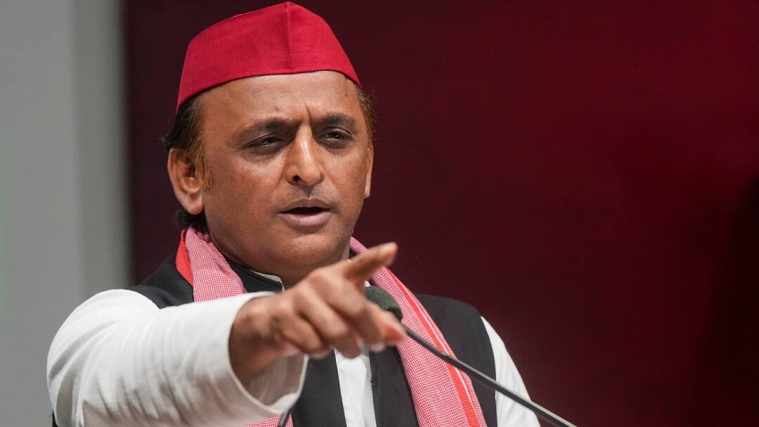 Akhilesh Yadav said on Sambhal BJP leaders were with the survey team संभल पर बोले अखिलेश यादव- सर्वे टीम के साथ थे बीजेपी के नेता, सांसद पर लगाए झूठे मुकदमे
