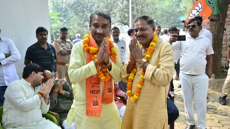 Phulpur ByElection: दीपक पटेल ने लगाई BJP की जीत की हैट्रिक, सपा के मुजतबा सिद्दीकी को 11305 वोटो से हराया Phulpur By Election Deepak Patel hat trick victory for BJP defeated Mujtaba Siddiqui 11305 votes ann Phulpur ByElection: दीपक पटेल ने लगाई BJP की जीत की हैट्रिक, सपा के मुजतबा सिद्दीकी को 11305 वोटो से हराया