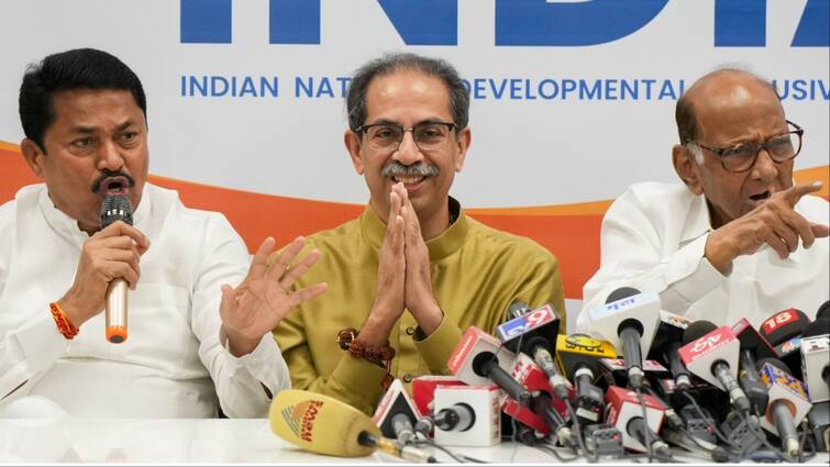 maharashtra election result sharad pawar uddhav thackeray didnt campaign congress leader શરદ પવાર અને ઉદ્ધવ ઠાકરેને કારણે ચૂંટણી હારી MVA! કોંગ્રેસના આ નેતાએ કર્યો મોટો દાવો