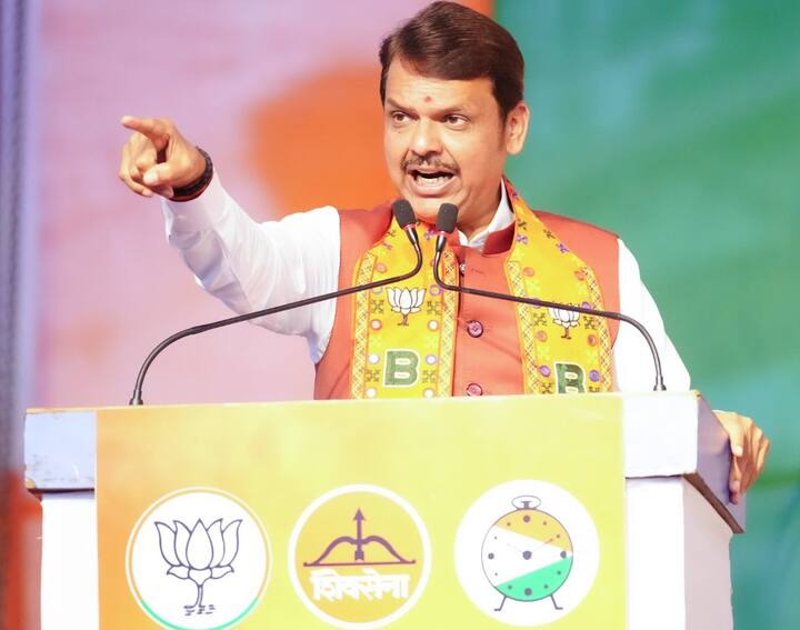 દેવેન્દ્ર ફડણવીસે તેમના નામે 56 લાખ 07 હજાર 867 રૂપિયા, તેમની પત્ની અમૃતા ફડણવીસના નામે 6,96,92,748 રૂપિયા અને તેમની પુત્રીના નામે 10,22,113 રૂપિયાની જંગમ સંપત્તિ જાહેર કરી છે. ચૂંટણી એફિડેવિટમાં જણાવાયું છે કે ફડણવીસ પાસે 23,500 રૂપિયા રોકડા છે. જ્યારે તેની પત્ની પાસે 10,000 રૂપિયાની રોકડ છે.