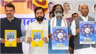 Elections 2024: இன்று வெளியாகிறது மகாராஷ்டிரா, ஜார்கண்ட் சட்டமன்ற தேர்தல் முடிவுகள் - பாஜக Vs காங்கிரஸ்+, வெற்றி யாருக்கு?