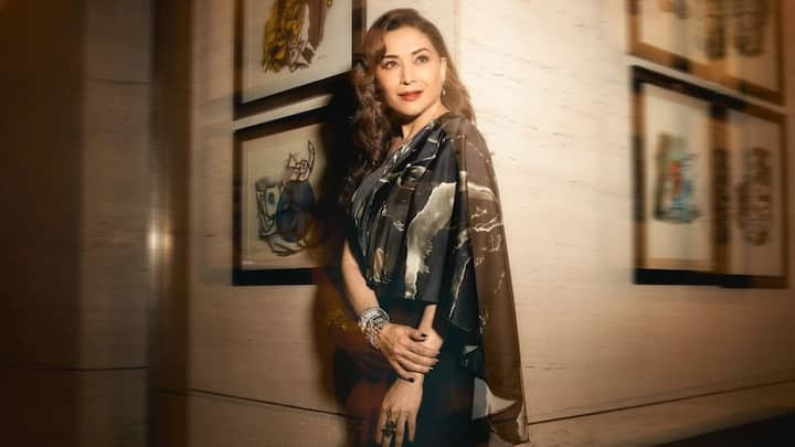 Madhuri Dixit's look in a black saree is giving us the perfect vintage elegance vibes that cannot be recreated by everyone.