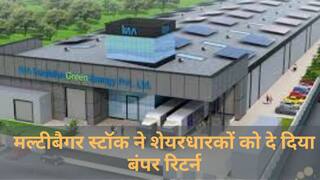 Multibagger Stock: इस मल्टीबैगर स्टॉक ने 5 सालों में शेयरधारकों को दे दिया 43 गुना रिटर्न