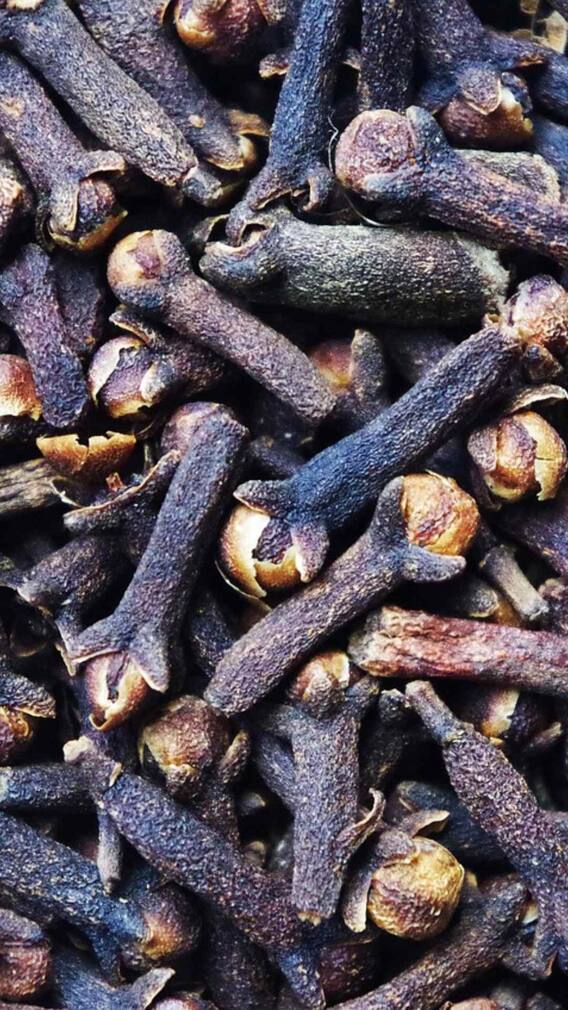 लौंग की खेती करते वक्त इन बातों का रखें खास ध्यान
