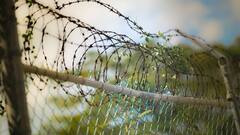 Telangana Police Arrest Four For Attempting To Revive Naxal Group, Seize Arms