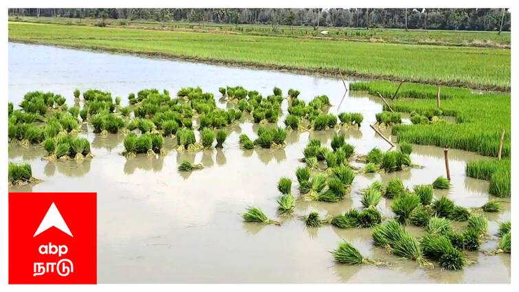 Mayiladuthurai district farmers grievance day meeting at November 29 th விவசாயிகள் குறைதீர் கூட்டத்தில் பேச 30 விவசாயிகளுக்கு மட்டும் அனுமதி