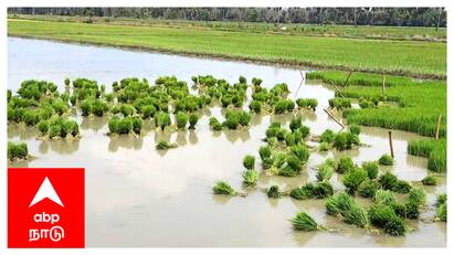 விவசாயிகள் குறைதீர் கூட்டத்தில் பேச 30 விவசாயிகளுக்கு மட்டும் அனுமதி