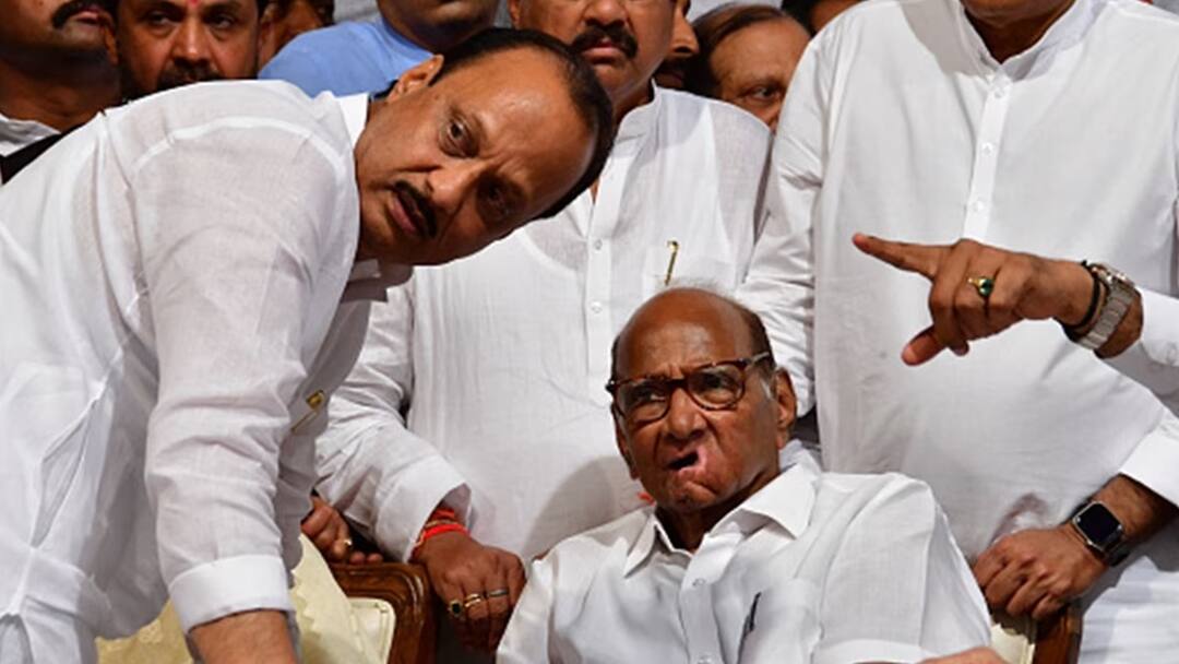 Maharashtra Poll Results: ‘Traitors’ Prevail? Ajit Pawar’s NCP Wins Big Despite Sharad Pawar’s Call For ‘Decisive’ Defeat Maharashtra Election Results 2024 Ajit Pawar NCP Wins Big Despite Sharad Pawar Call For Decisive Defeat Maharashtra Poll Results: ‘Traitors’ Prevail? Ajit Pawar’s NCP Wins Big Despite Sharad Pawar’s Call For ‘Decisive’ Defeat
