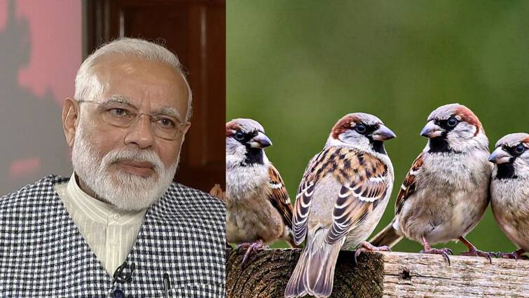 PM Modi Mann Ki Baat Speech About Sparrows Known As Kuruvi In ​​Tamil More Details PM Modi: ” சிட்டுக்குருவி ரெம்ப தூரமா போயிருச்சு ” சிட்டுக்குருவி குறித்து உருக்குமாக பேசிய பிரதமர் மோடி.!