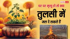 Tulsi Niyam: घर पर किसी की मृत्यु हो जाए तो क्या तुलसी में जल चढ़ा सकते हैं