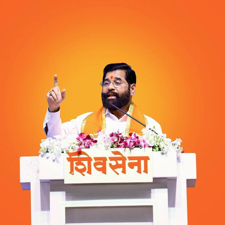 कोपरी-पाचपाखाडी :  एकनाथ शिंदे (महायुती  - शिवसेना), भिवंडी ग्रामीण : शांताराम मोरे (महायुती - शिवसेना), ओवळा-माजिवडा : प्रताप सरनाईक (महायुती - शिवसेना)