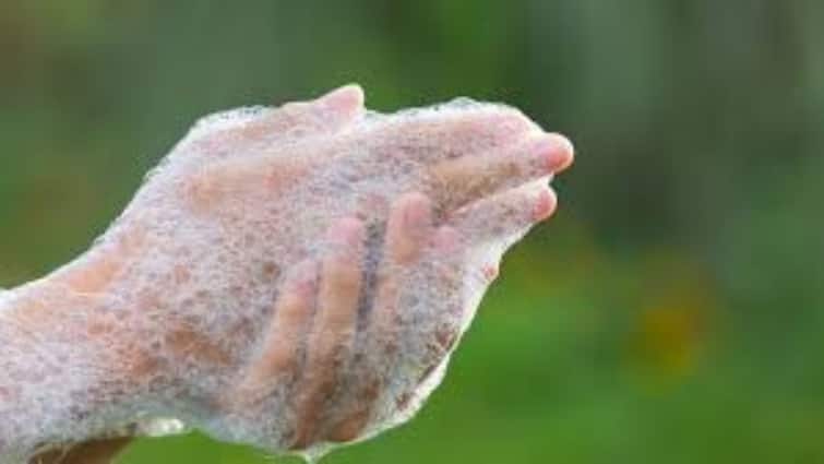 why foam come out from soap here know reason and interesting facts साबुन से झाग क्यों निकलता है, क्या इससे ही होती है हमारे शरीर की सफाई?