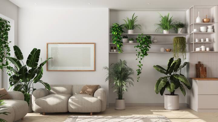 Go Green: Adding planters with greenery and plants to your meditation nook is a great way to bring life and freshness into the space. Plants not only improve the air quality but also have a calming effect on our minds. The sight of lush greenery can instantly make you feel more relaxed, grounded, and connected to nature. Planters can also be a design statement on their own; you can pick beautiful ones, like ones with a stone finish or ceramic, that complement the vibe of your meditation nook. (Image source: Canva)