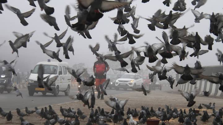 আগামী ৪/৫ দিন ১৮ থেকে ১৯ ডিগ্রি সেলসিয়াস এর আশেপাশেই থাকবে কলকাতার তাপমাত্রা। আজ সর্বনিম্ন তাপমাত্রা ১৭.৬ ডিগ্রি। গতকাল দিনের সর্বোচ্চ তাপমাত্রা ছিল ২৮ ডিগ্রি। বাতাসে জলীয় বাষ্পের পরিমাণ বা আপেক্ষিক আর্দ্রতা ৪৪ থেকে ৯৫ শতাংশ। 