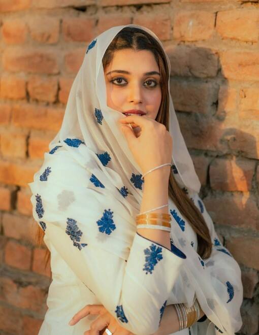 ਦਰਅਸਲ, ਸੋਸ਼ਲ ਮੀਡੀਆ ਪਲੇਟਫਾਰਮ ਉੱਪਰ ਇਨ੍ਹੀਂ ਦਿਨੀਂ ਇੱਕ ਅਜਿਹਾ ਵੀਡੀਓ ਵਾਇਰਲ ਹੋ ਰਿਹਾ ਹੈ, ਜਿਸ 'ਚ ਕਥਿਤ ਤੌਰ 'ਤੇ ਕੰਵਲ ਆਫਤਾਬ ਦੇ ਨਿੱਜੀ ਪਲ ਦਿਖਾਈ ਦੇ ਰਹੇ ਹਨ। ਇਹ MMS ਸੋਸ਼ਲ ਮੀਡੀਆ 'ਤੇ ਵਾਇਰਲ ਹੋ ਗਿਆ ਹੈ, ਜਿਸ ਤੋਂ ਬਾਅਦ ਇਕ ਵਾਰ ਫਿਰ ਡਿਜੀਟਲ ਪ੍ਰਾਈਵੇਸੀ ਅਤੇ ਆਨਲਾਈਨ ਪਰੇਸ਼ਾਨੀ ਦੇ ਮੁੱਦੇ 'ਤੇ ਬਹਿਸ ਛਿੜ ਗਈ ਹੈ। ਇਸ ਘਟਨਾ ਨੇ ਕੰਵਲ ਆਫਤਾਬ ਨੂੰ ਹੀ ਨਹੀਂ ਬਲਕਿ ਪਾਕਿਸਤਾਨ ਦੇ ਹੋਰ ਸੋਸ਼ਲ ਮੀਡੀਆ ਸਿਤਾਰਿਆਂ ਨੂੰ ਵੀ ਚਿੰਤਾ ਵਿਚ ਪਾ ਦਿੱਤਾ ਹੈ, ਜਿਨ੍ਹਾਂ ਨਾਲ ਵੀ ਅਜਿਹੀਆਂ ਘਟਨਾਵਾਂ ਵਾਪਰ ਰਹੀਆਂ ਹਨ। ਕੀ ਹੈ ਪੂਰਾ ਮਾਮਲਾ, ਆਓ ਤੁਹਾਨੂੰ ਦੱਸਦੇ ਹਾਂ।