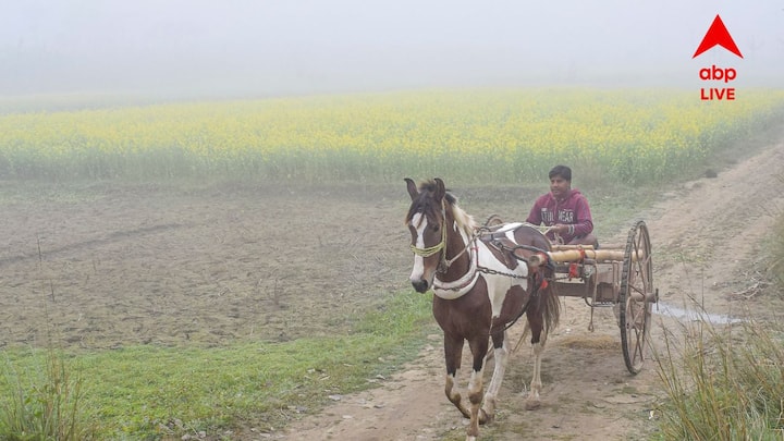 Weather Update: মরশুমে প্রথম কলকাতা তাপমাত্রা ১৭ ডিগ্রির ঘরে। রাতের তাপমাত্রা আরও কমল।