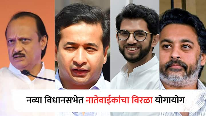 Maharashtra Assembly Elections Result 2024 : यंदाच्या विधानसभेवर निवडून आलेल्या आमदारांच्या नातेवाईकांची समीकरणं पाहायला मिळणार आहेत.