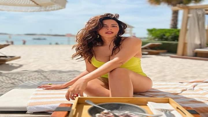 Shama Sikander: શમા સિકંદર બિકિની લૂકમાં લાગે છે ખૂબ જ હોટ, જુઓ બોલ્ડ અંદાજ