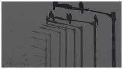 मध्य प्रदेश में सर्दी ने पकड़ा जोर, भोपाल, पचमढ़ी सहित 9 शहरों में पारा 10 डिग्री से नीचे