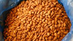 Almonds: मर्यादेपेक्षा जास्त बदाम खाऊ नका, फायद्याऐवजी नुकसानच होईल!