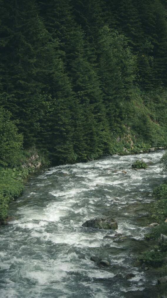 भारत में कहां है पक्षी के नाम वाली नदी, जानें इसके बारे में