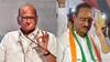 Sharad Pawar : नाशिकमध्ये शरद पवारांची 'पॉवर' फेल, पाचही जागांवर पराभव, काकांपेक्षा पुतण्याच ठरला भारी!